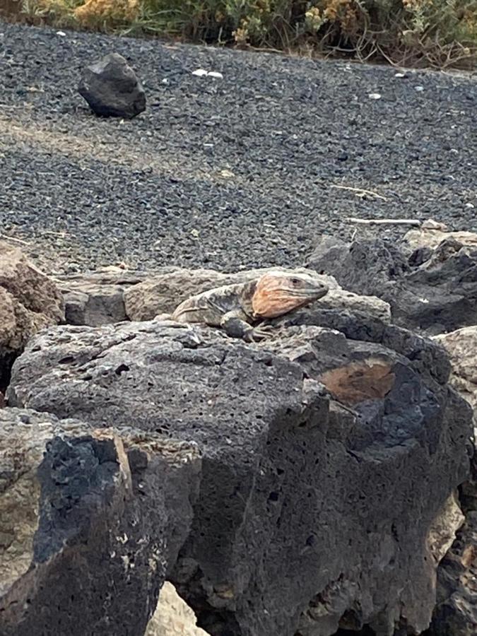 Apartmán La Casita De Matilda, 1A Las Palmas de Gran Canaria Exteriér fotografie